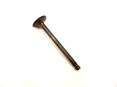 555552 - LO206 Exhaust Valve