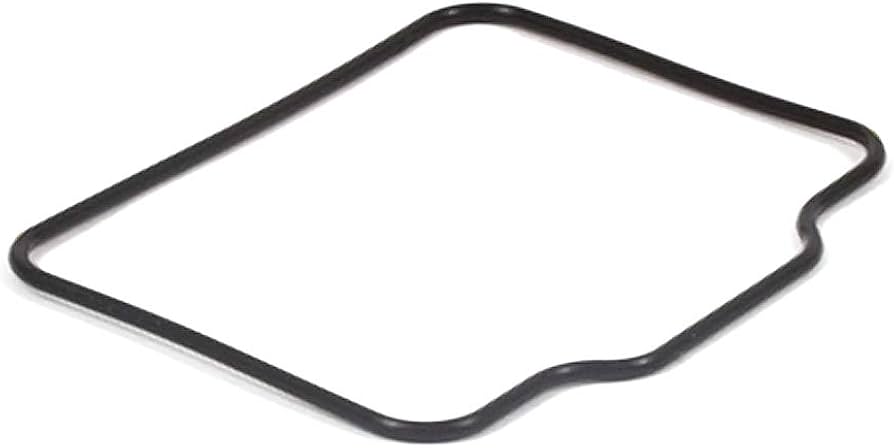 555592 - LO206 Carburetor Float Bowl Gasket