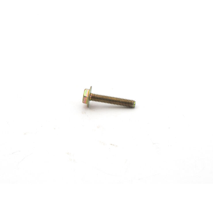 699477 - Briggs LO206 Magneto Bolt