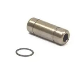 557118 - Briggs LO206 Valve Guide