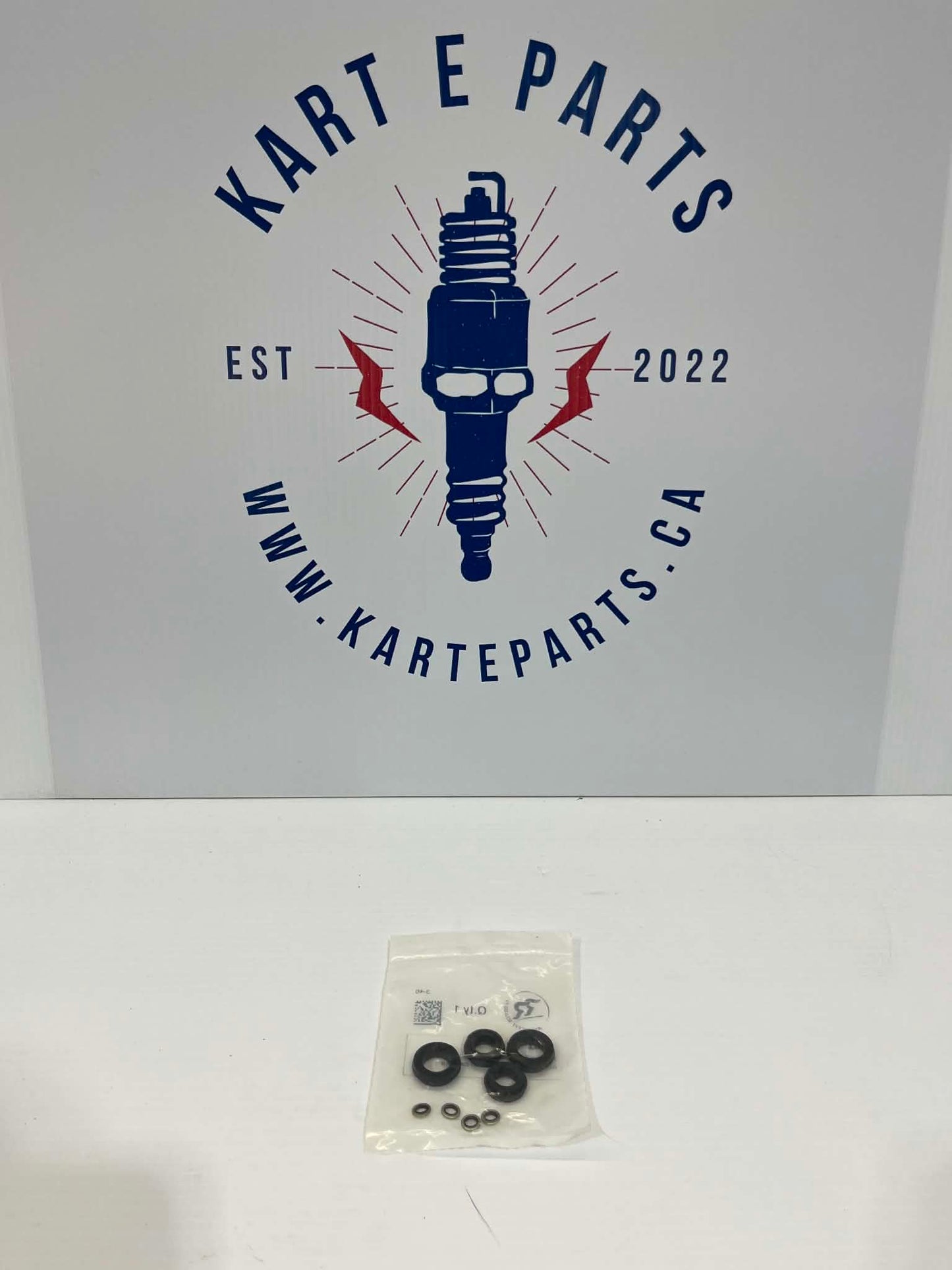 Seal Kit for Righetti K879 Caliper