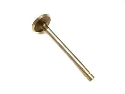 555551 - LO206 Intake Valve