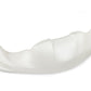 KG 509 Front Bumper