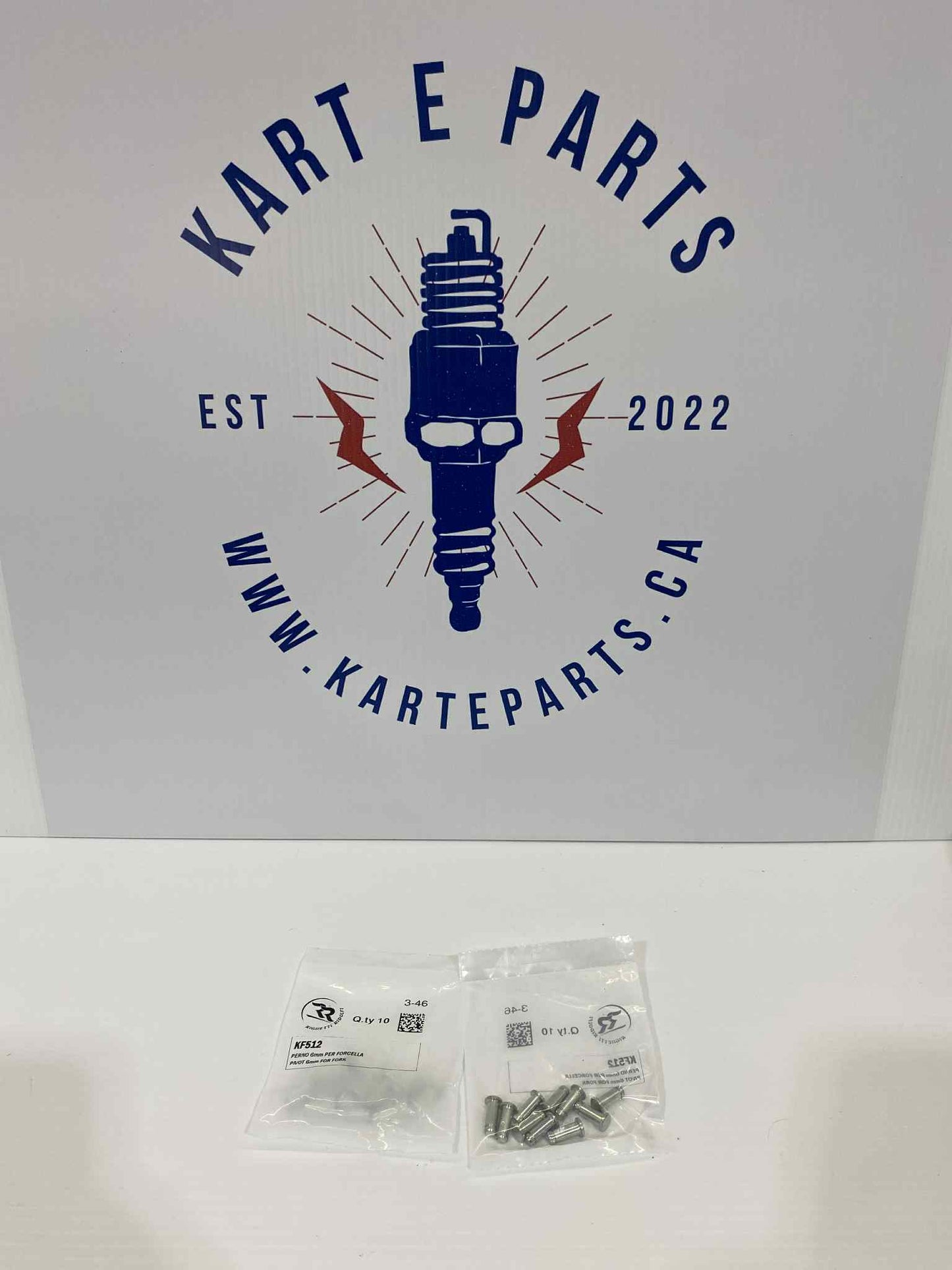 6mm Pivot Pit for Fork