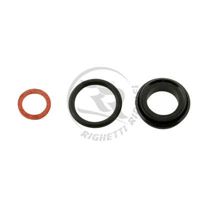 Seal Kit for Righetti Brake Pump K225